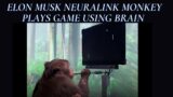 Watch Elon Musk's Neuralink monkey play video games with his brain | Grow more | Interesting facts