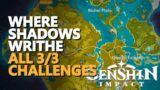 Where Shadows Writhe Genshin Impact All 3/3 Challenges