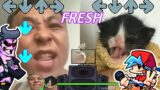 Angry Asian Man vs Towel Cat! but its Friday Night Funkin' – Fresh
