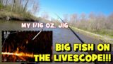 Catching SLABS w/ the LIVESCOPE Technology! (Just Like a VIDEO GAME!)