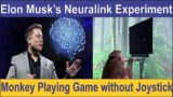 Monkey is Playing Video Game with his Brain || Elon Musk's Neuralink Experiment || Urdu/Hindi