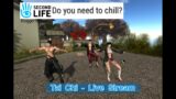 SECOND LIFE 2021 Time for TAI CHI – LIVE STREAM #secondlife
