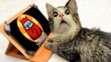 Cat and CREWMATES  All Musik stories Among us Cat Song version  Nonstop Among Us Cat Pop dance