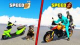 FINDING The FASTEST SUPERBIKE From MY QUADRILLIONAIRE COLLECTION with BOB & CHOP in GTA 5 (GTA V #7)