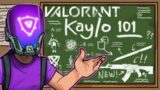 KAY/O 101 With Professor Shroud | Valorant | Shroud