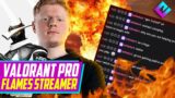NRG Valorant Pro FLAMES Streamer in Twitch Chat (Kicked?)