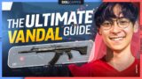The COMPLETE Vandal Guide to Play Like TenZ – Valorant Tips, Tricks, and Guides