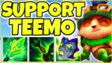 TEEMO SUPPORT IS 100% UNDERRATED…. AND THIS IS WHY! – (League of Legends)