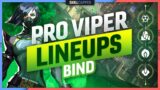 The BEST PRO Viper LINEUPS, SETUPS, & ONE WAYS for BIND – Valorant Guide