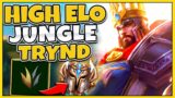 This Is Why Tryndamere Is My Favorite Jungler ;) – League of Legends