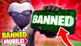 I met a BANNED MOBILE Fortnite player… (rip)