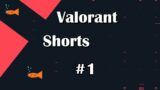 When your brain is lagging in Valorant #shorts