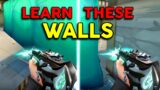 Sage Walls I teach to PRO PLAYERS on Valorant
