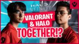 When the BEST Valorant & Halo Pros Play Together (Halo Infinite)