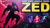 HOW DOES ZED JUNGLE WORK? | League of Legends