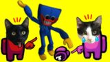 Huggy Wuggy vs Among us pero con gatos Luna y Estrella / Gameplay con gatitos
