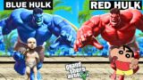 ADOBTED BY BLUE AND RED HULK IN GTA V