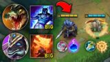WE PLAYED THE "BIG BROTHERS" BOT LANE AND DESTROYED THEM – League of Legends