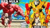 ADOBTED BY RED HULK AND IRON MAN IN GTA V