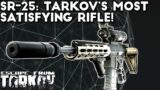 SR-25 Top-Tier Builds & Gameplay – Escape From Tarkov