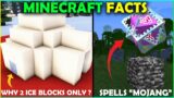 10 Minecraft Facts You Didn't Know | In Hindi | Mc lol