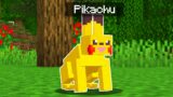 I remade every mob into pokemon in minecraft