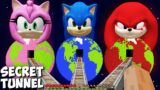 I found SECRET ROAD to SONIC PLANET in MINECRAFT animation! SECRET PANET of AMY and KNUCKLES MOBS