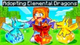 Adopting ELEMENTAL DRAGONS in Minecraft!