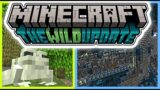 COMPLETE 1.19 Minecraft Review of Wild Update!
