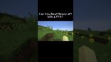 Can You Beat Minecraft With 1 FPS?