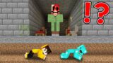 Can you ESCAPE this Minecraft PRISON?