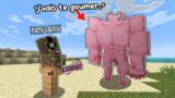 Ce Mod me permet de Manger les Mobs de Minecraft..