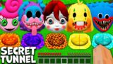 Choose the right ROUND PIT of POPPY PLAYTIME in MINECRAFT animation! MOMMY LONG LEGS PJ PUG-A-PILLAR