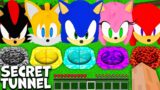 Choose the right SECRET TUNNEL of SONIC in MINECRAFT animation SHADOW and TAILS and AMY and KNUCKLES