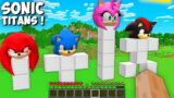 Giant Sonic and Friends Totem in minecraft – animations gameplay scooby craft FNF