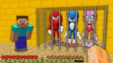 HOW SONIC ESCAPED FROM STEVE in MINECRAFT! – Gameplay Movie traps KNUCKLES