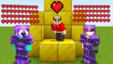 How I Took Over This Minecraft SMP With One Heart…
