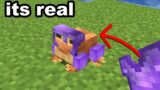 I Busted 54 Popular Myths In Minecraft 1.19…