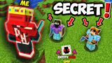 I Found This Secret Player in Minecraft SMP | Entity 303 SMP | Part 6
