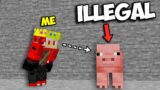 I Used This Pig To Kill Players for Revenge | Minecraft in Hindi