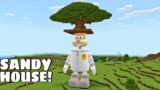 I found SANDY SQUIRREL SKY TREE HOUSE in Minecraft – Gameplay – Coffin Meme