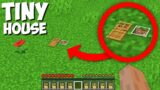 I found THE TINY HOUSE UNDER DIRT in Minecraft ! WHAT INSIDE THE SMALLEST HOUSE ?