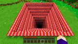 I found a SECRET TNT PIT in Minecraft ! What's INSIDE the BIGGEST PIT ?