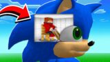 JE CONTROLE LE CERVEAU DE SONIC SUR MINECRAFT !