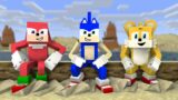 Knuckles + Sonic And Tails Dancing Meme – Quicksand + Good Ending (Minecraft Animation) FNF