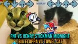 MIDNIGHT BUT Big FLOPPA VS TOWEL KITTEN- Friday Night Funkin' Custom Animation Vs Henry Stickmin