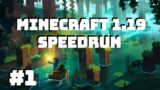 Minecraft 1.19 Speedrun #1 [DNF]