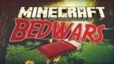 |Minecraft Bedwars| A Noob Gamepla |EG-Viraj| #Livestream