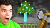 Minecraft But We Swapped Wood with Diamonds… (confusing)