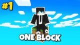 Minecraft, But You Only Get ONE BLOCK…